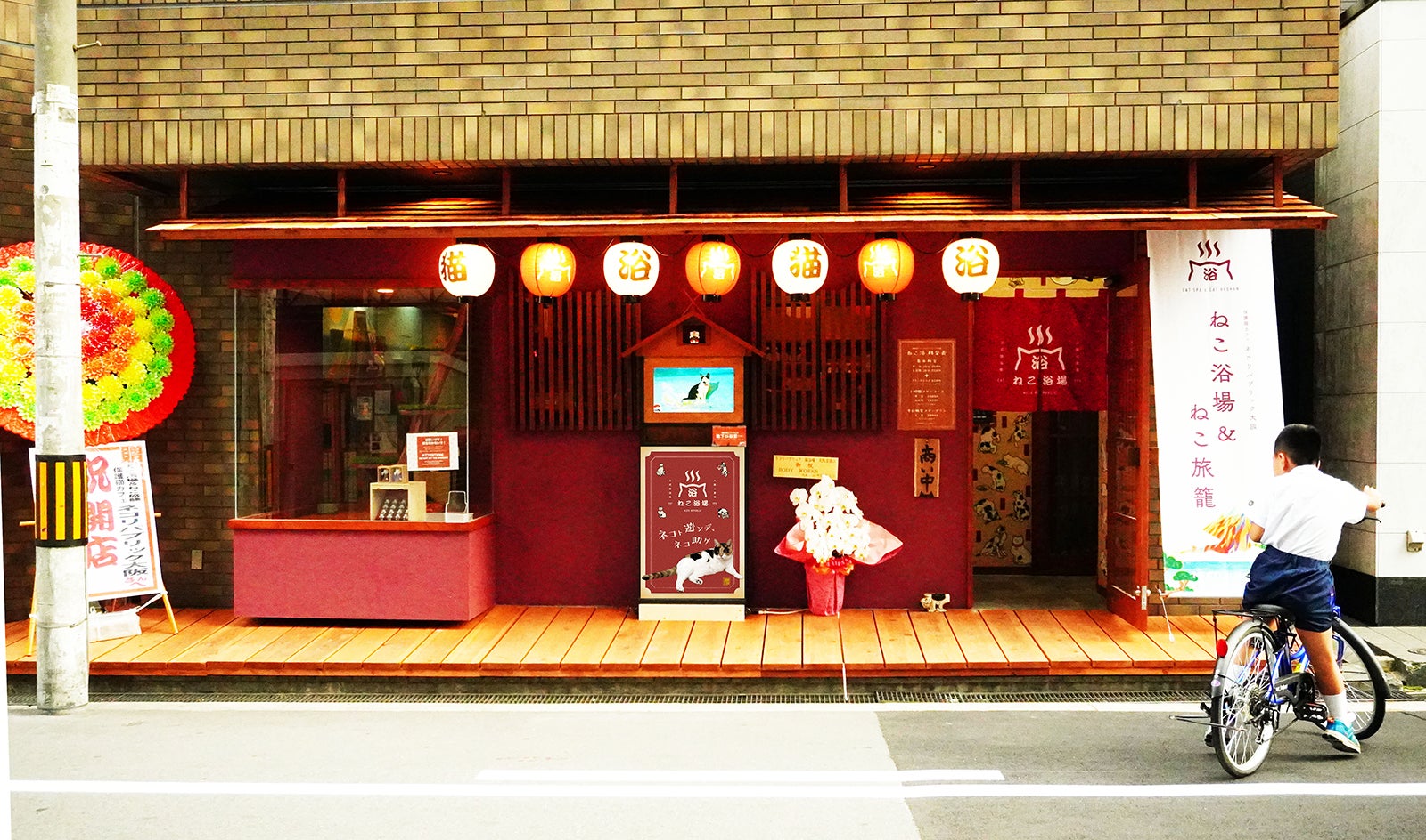 ねこ浴場／画像提供：ネコリパブリック