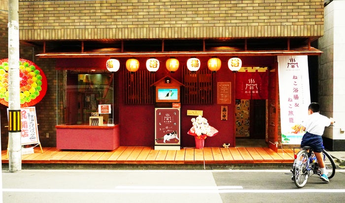 ねこ浴場／画像提供：ネコリパブリック