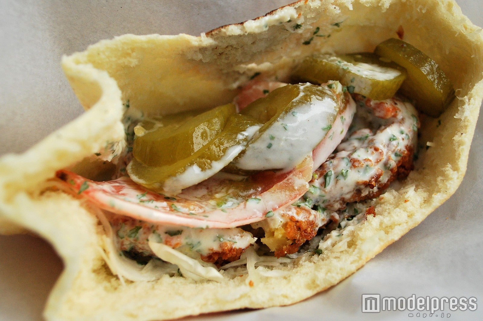 日本最大級の「アラビアンフェスティバル」初開催　グルメ等ブースは50以上