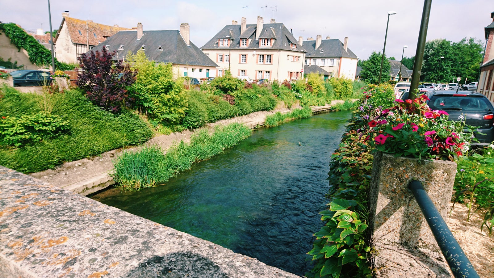 画像提供：所属事務所