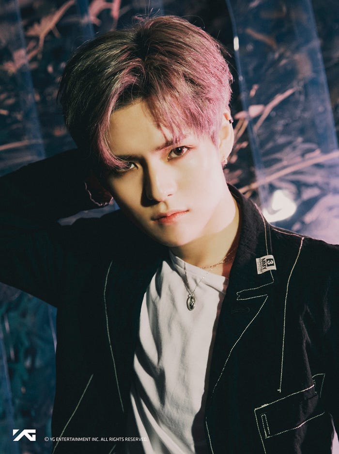 ヨシ (提供写真)