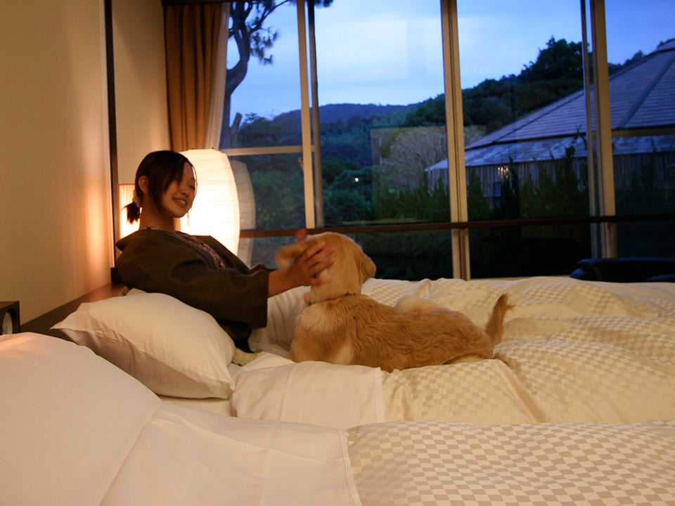 就寝も愛犬と一緒の布団で／画像提供：ベリークルーズ