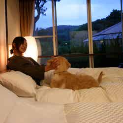 就寝も愛犬と一緒の布団で/画像提供:ベリークルーズ