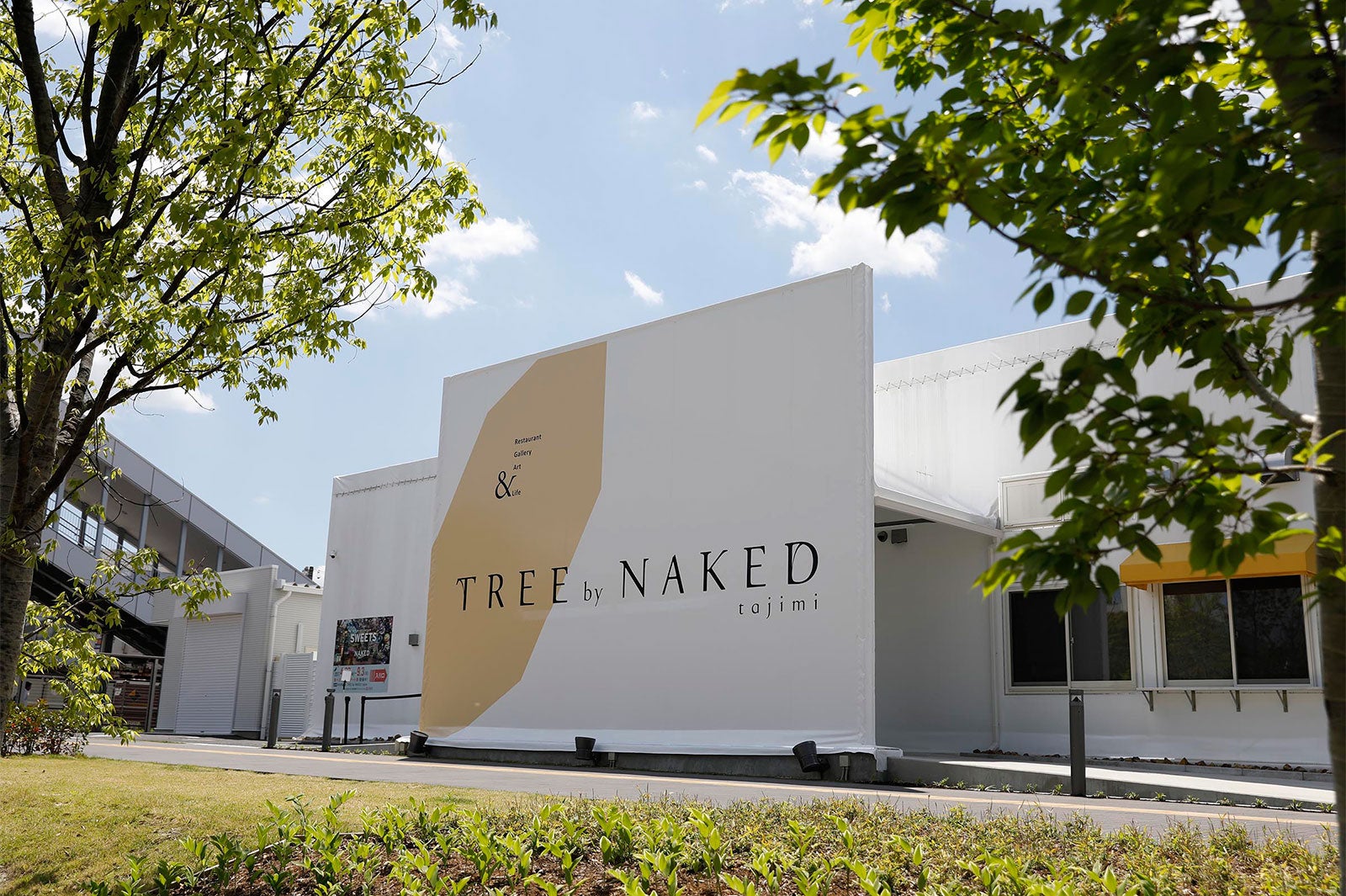 TREE by NAKED tajimi／画像提供：ネイキッド