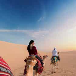 デザートサファリ/PlatinumHeritage