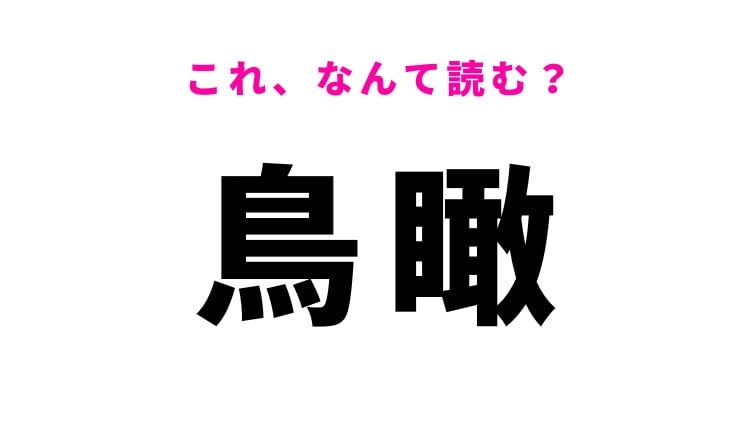 【漢字クイズ】「鳥瞰」はなんて読む？知っておきたい難読漢字！