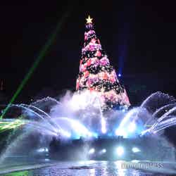「カラー・オブ・クリスマス －アフターグロウ」（C）モデルプレス（C）Disney