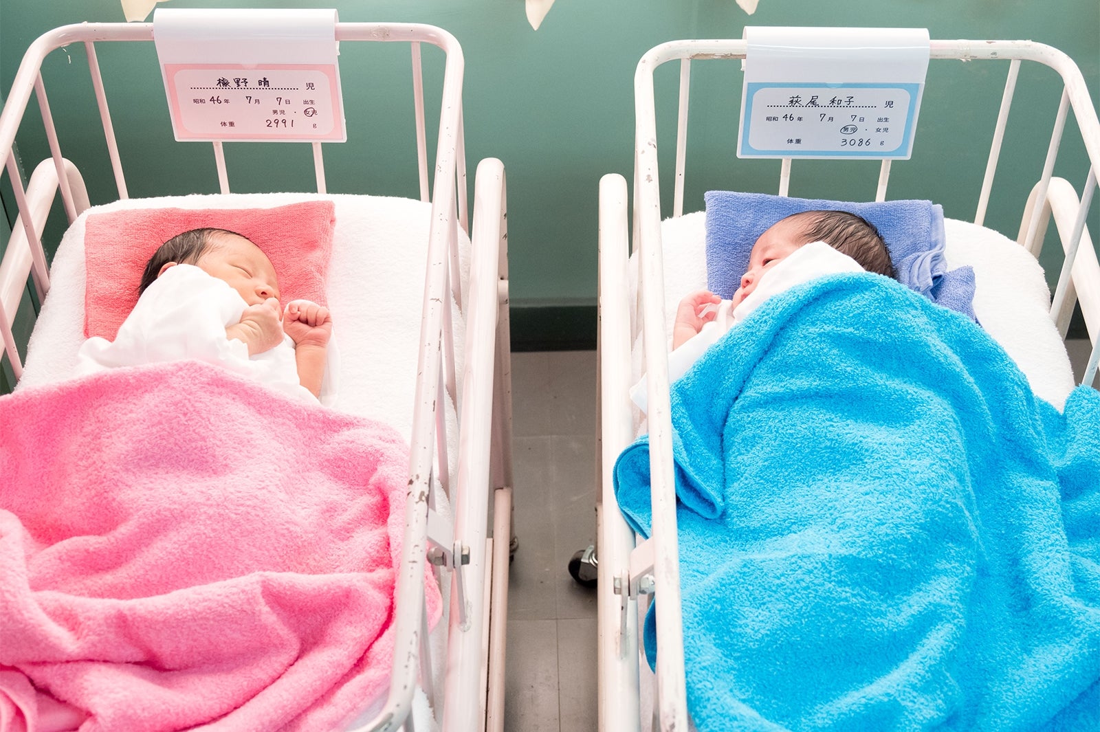 異例の胎児から描く／「半分、青い。」より（C）NHK