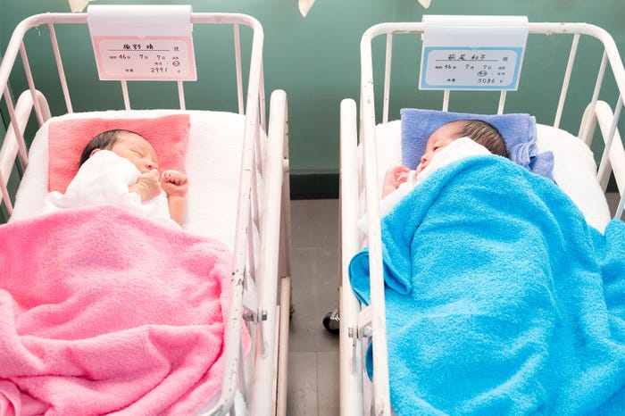 異例の胎児から描く/「半分、青い。」より(C)NHK