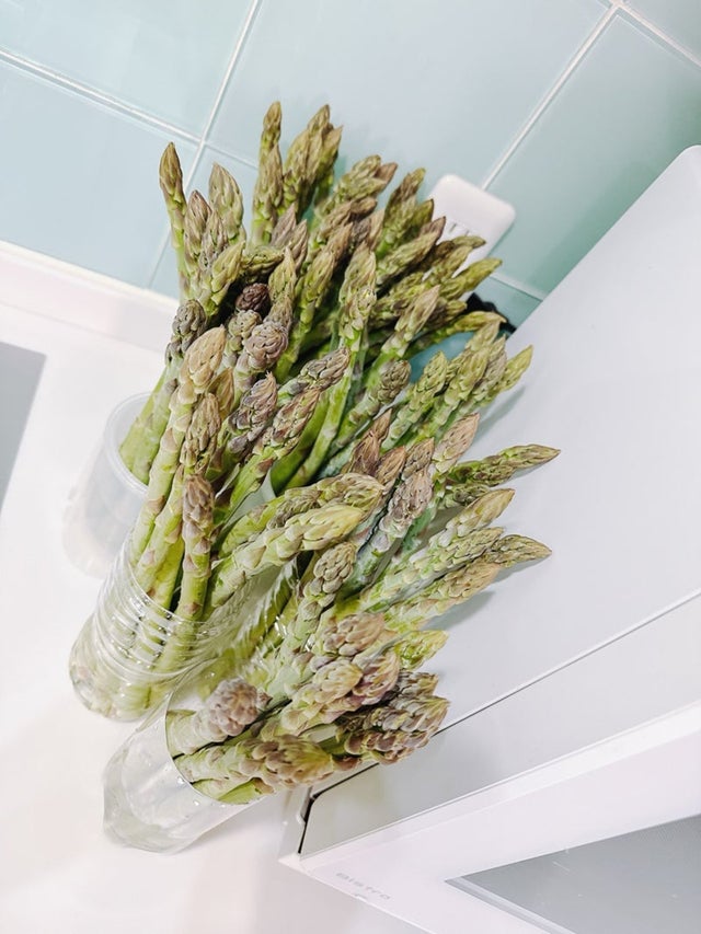 渡辺美奈代オフィシャルブログより