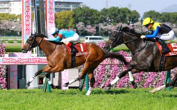 【阪神牝馬S】エンブロイダリー 完璧な逃走劇！圧巻V 全てはルメールの思惑通り「いいスタートなら逃げようと」 森一師も一安心「古馬と対戦し結果残せた」