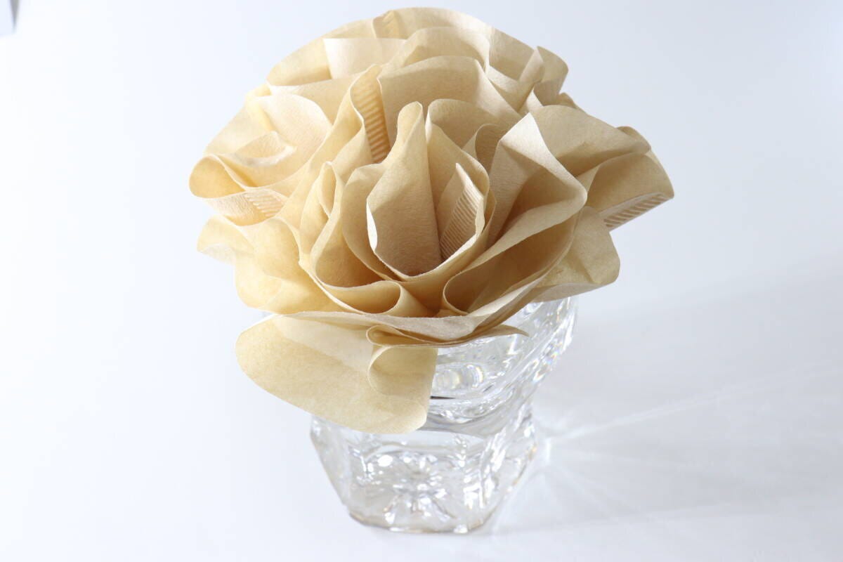 コーヒーフィルターで作る簡易加湿器のDIY