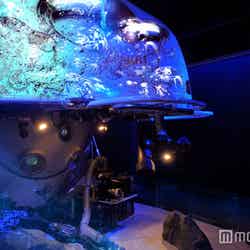 深海で待つ神秘の物語［深海Ⅱ～しんかい 2000～］／画像提供：新江ノ島水族館