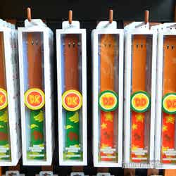 ドンキーコング・カントリー(C)モデルプレス