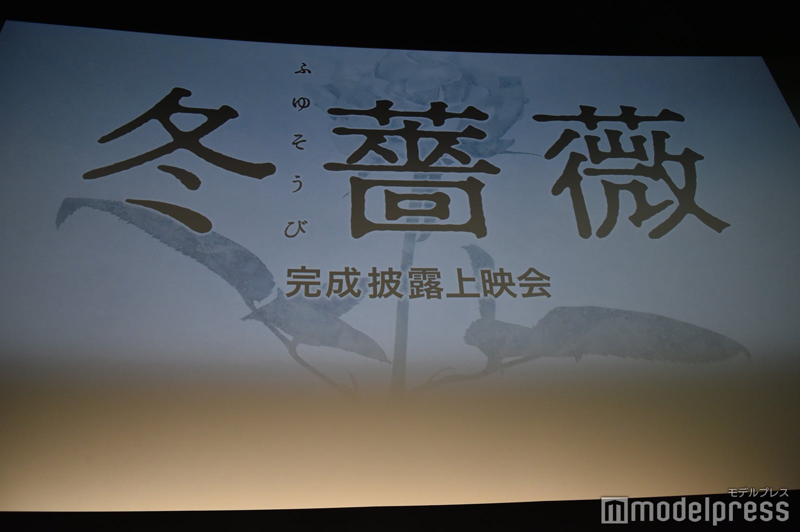 映画『冬薔薇（ふゆそうび）』完成披露上映会イベント（C）モデルプレス