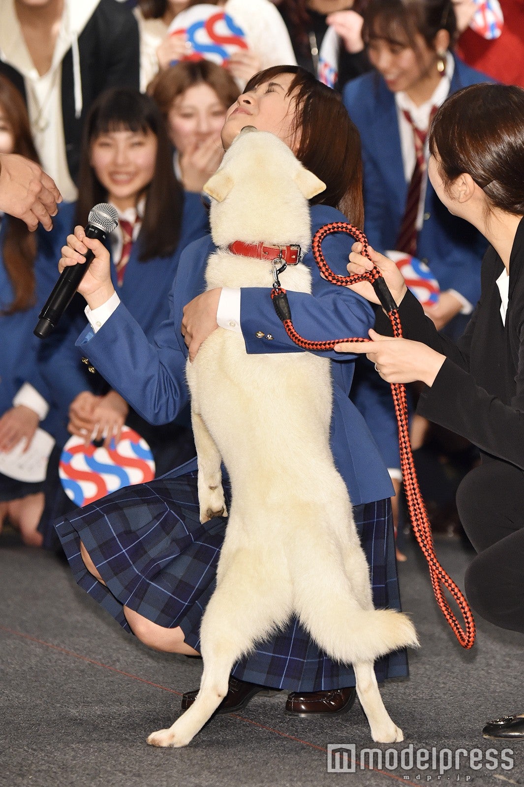 大原櫻子（C）モデルプレス