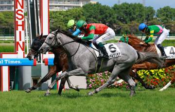 【新馬戦】マイネルグリモア 頭差制しデビューV 国分恭が期待「まだ奥がある」随所に父・ゴールドシップらしさ