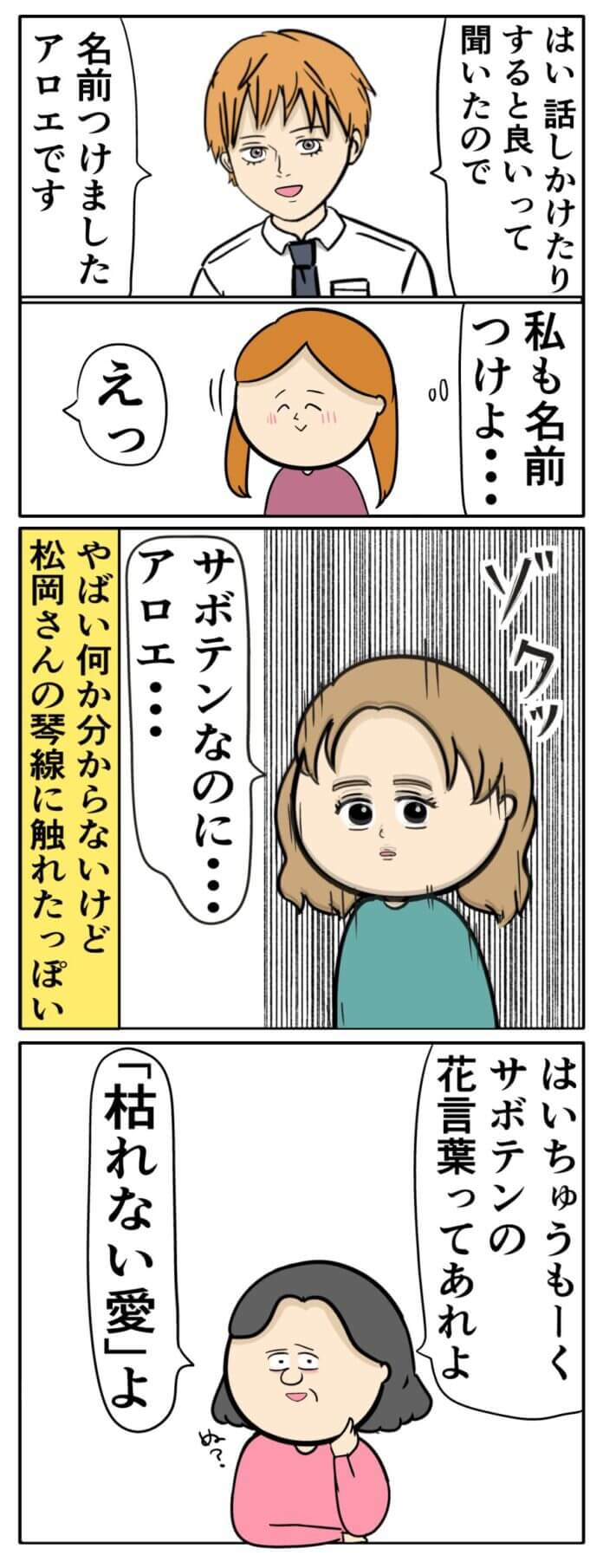 サボテンで大盛り上がり