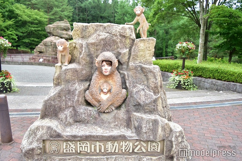 SNS映え確実！こんな顔ハメパネル見たことない！