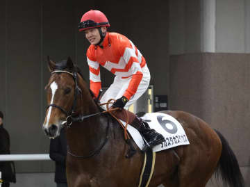 高須克弥院長の愛馬タカスタカスタカスがデビュー2連勝逃すも「大儲け」と上機嫌 Xに動画投稿