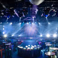 バーレスクTS/提供画像