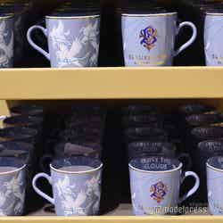 炎のゴブレット/ワーナー ブラザース スタジオツアー東京 – メイキング・オブ・ハリー・ポッター(C)モデルプレス