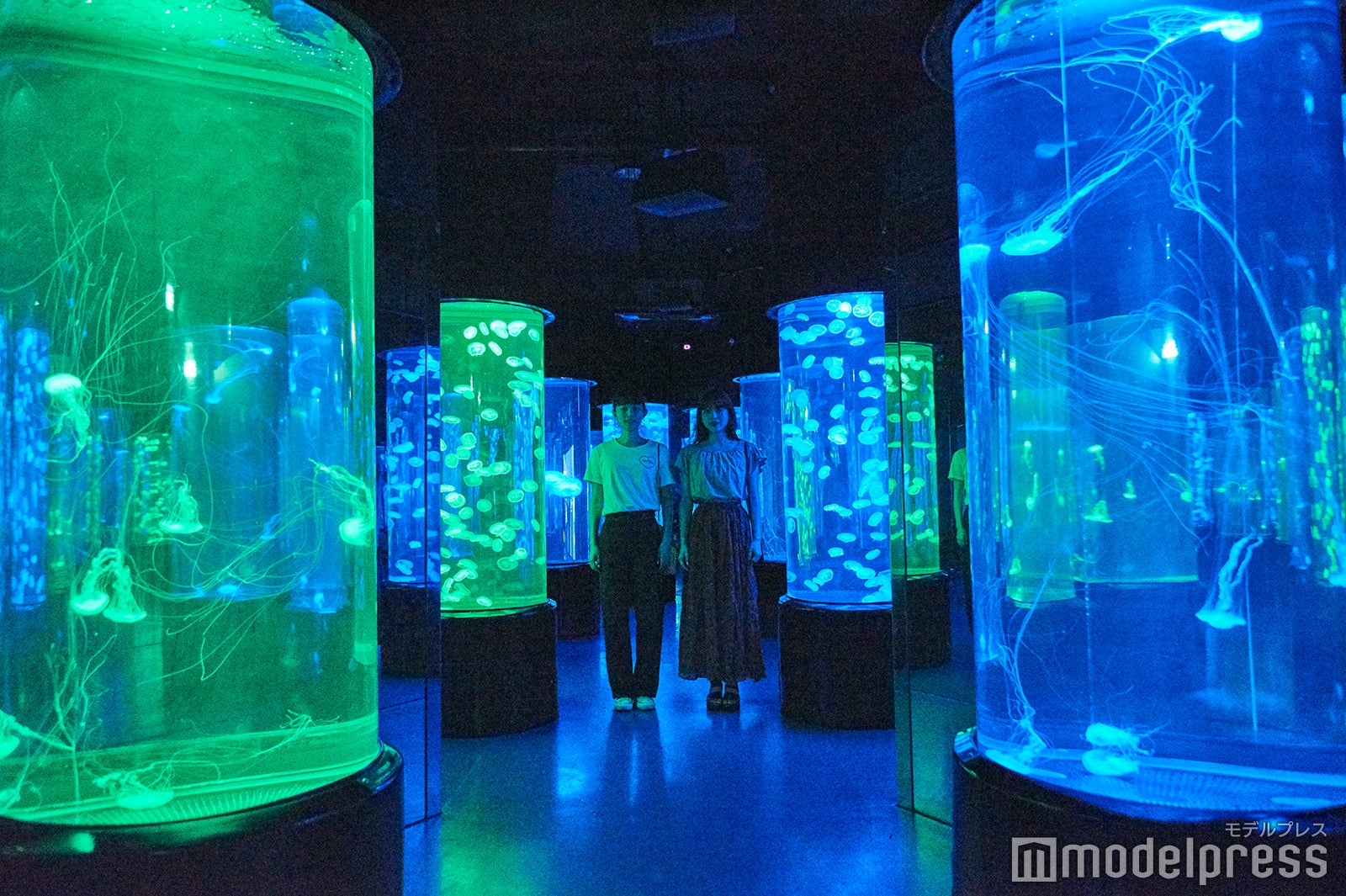 まるで万華鏡のようなクラゲのアクアリウム。幻想的な世界が広がります。（C）モデルプレス