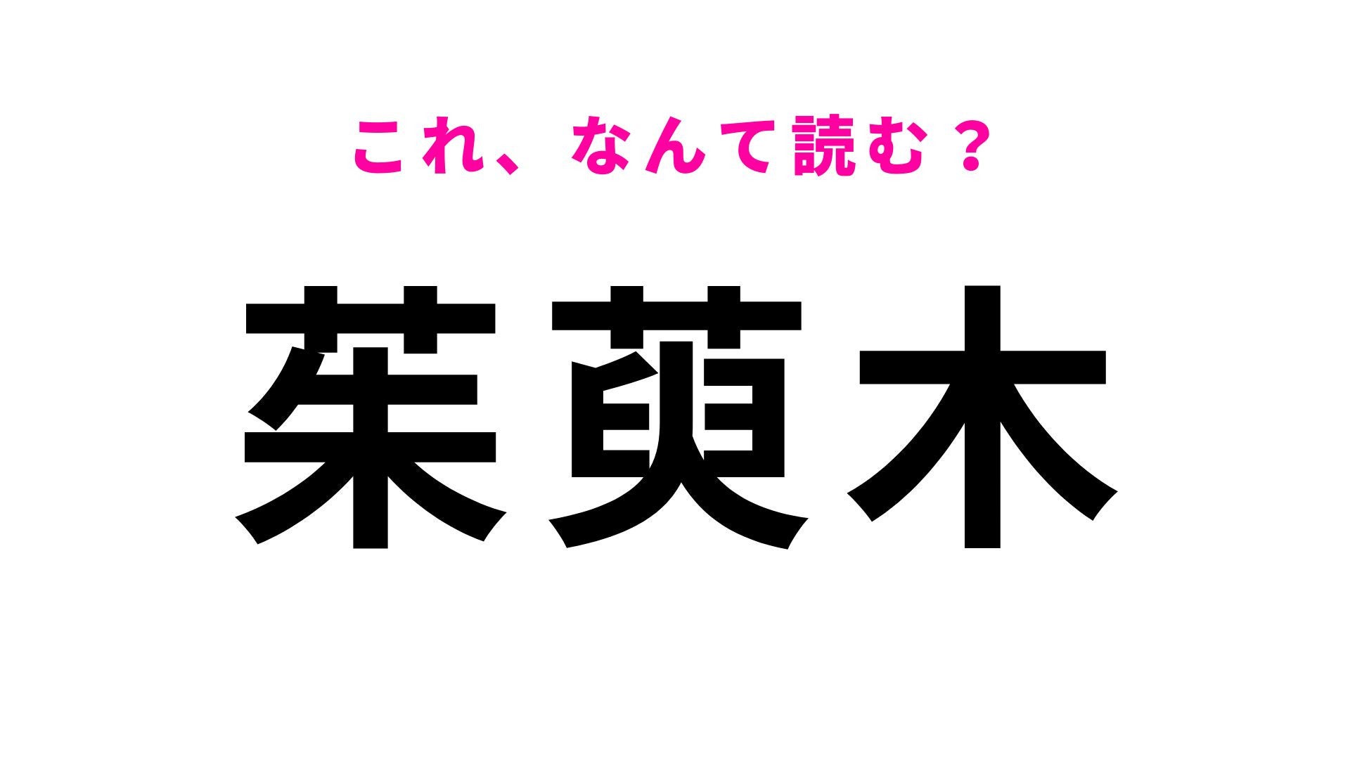 【漢字クイズ】「茱萸木」の読み方は？「茱萸」の漢字みたことある...？