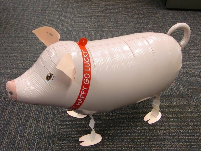 YOHIOお気に入りのブタの風船