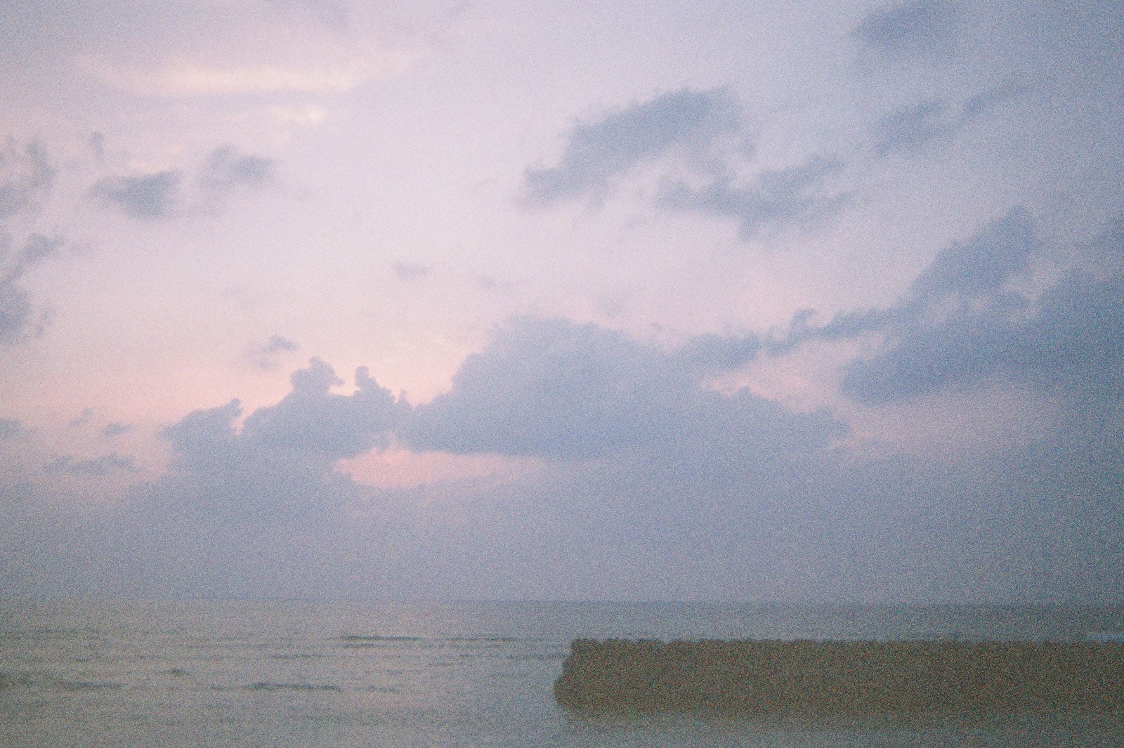 奄美大島（C）2023『忌怪島／きかいじま』製作委員会