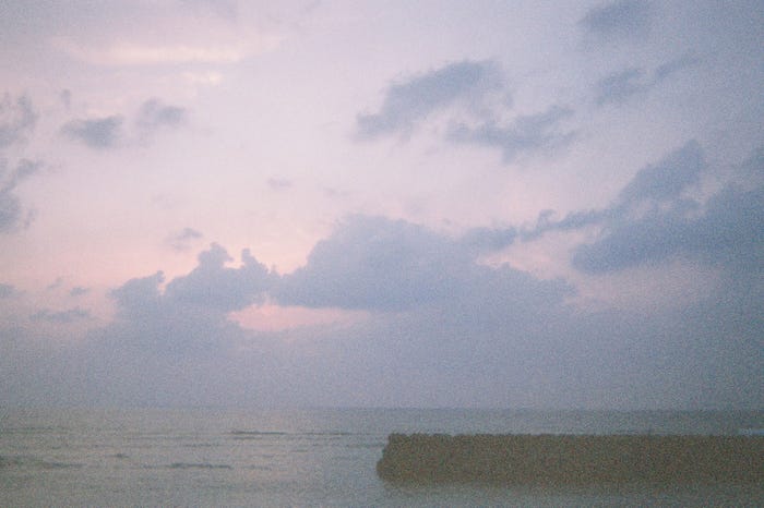 奄美大島(C)2023『忌怪島/きかいじま』製作委員会