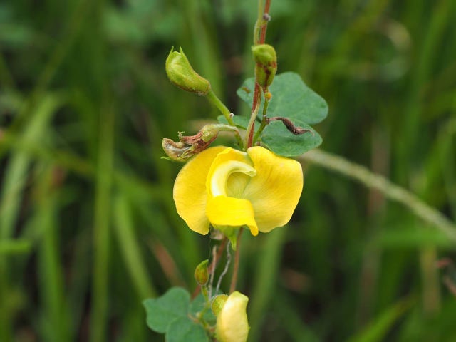 column_4dc3d0cce0e606b3405b029cc2756ab5.