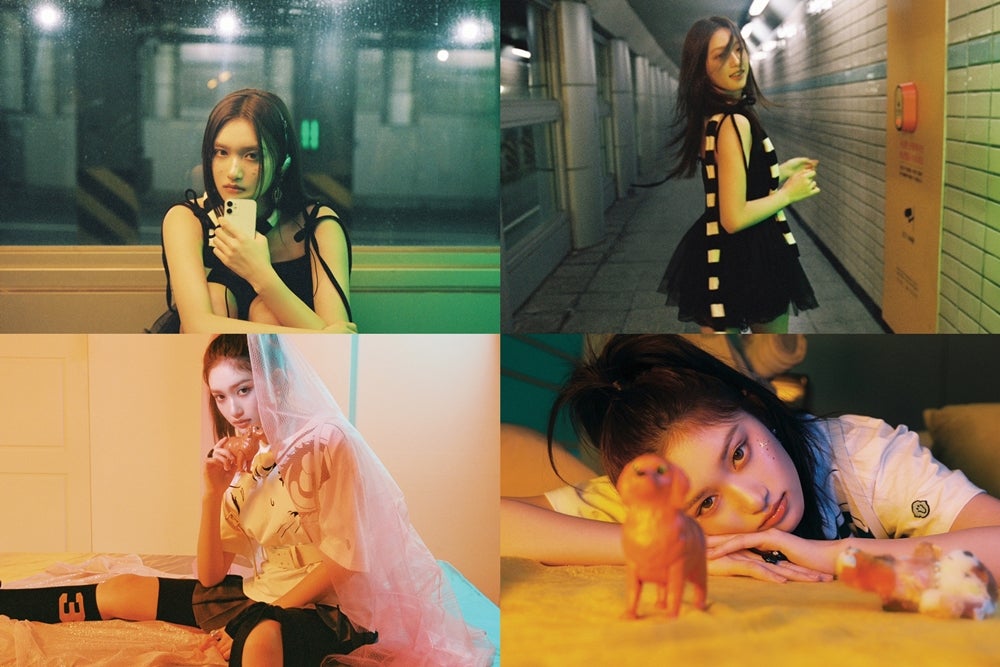 イソ（提供写真）