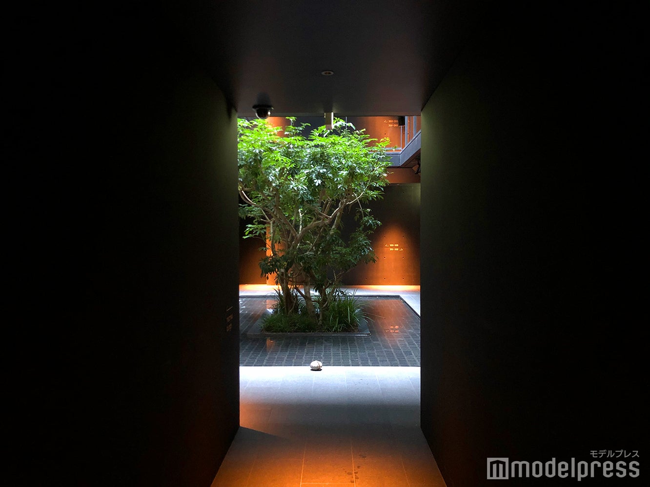 nol kyoto sanjo（C）モデルプレス