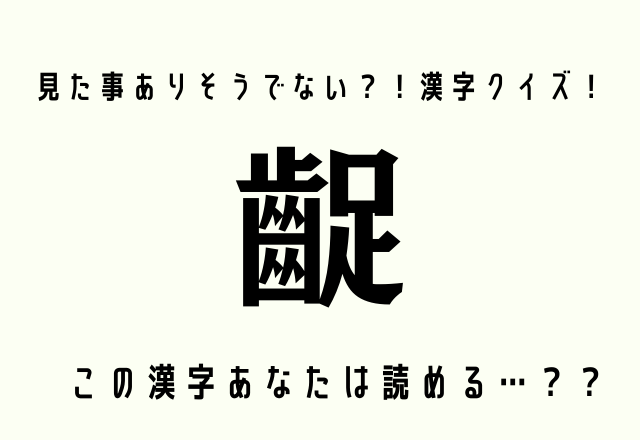 亀の仲間のあの子です 鼈 この動物の名前読めますか モデルプレス