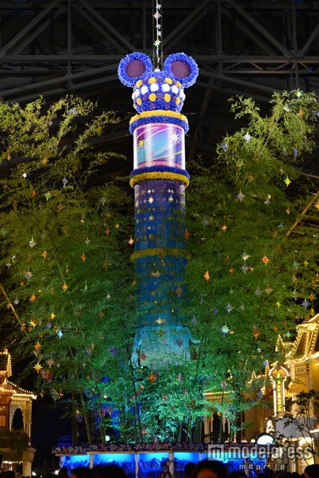 夜のウィッシングプレイス（TDL）