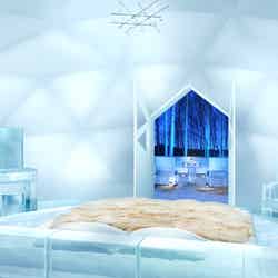 アイスヴィレッジ/提供画像