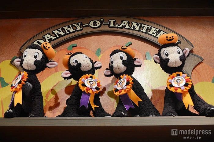 ロゼッタセット着用イメージ