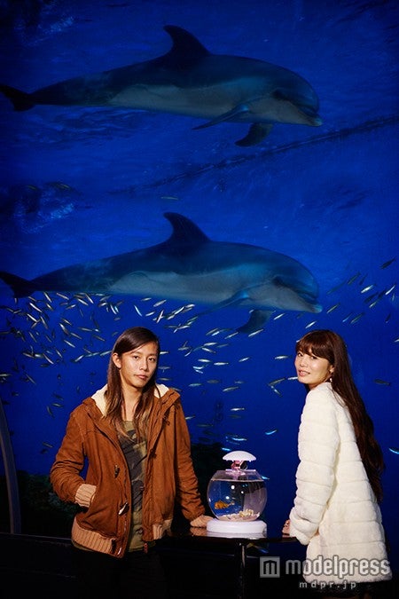 クラブDではイルカと一緒にカクテルが楽しめる