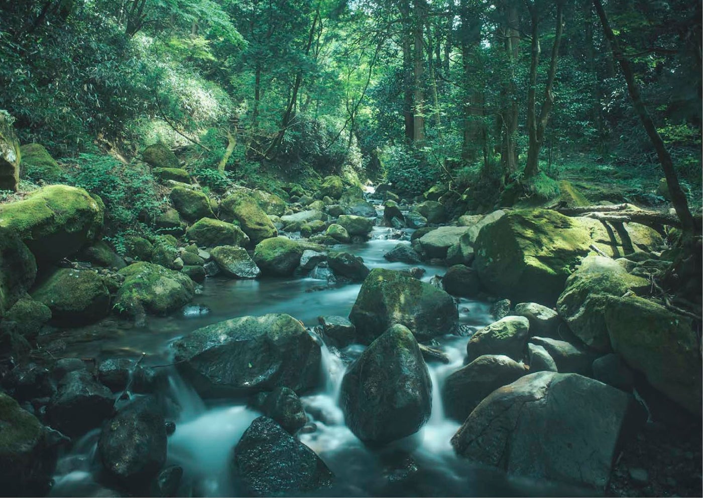 蛇骨川（提供画像）