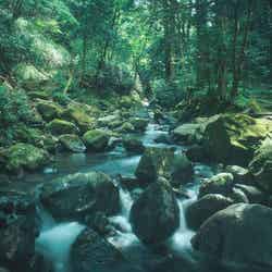 蛇骨川(提供画像)