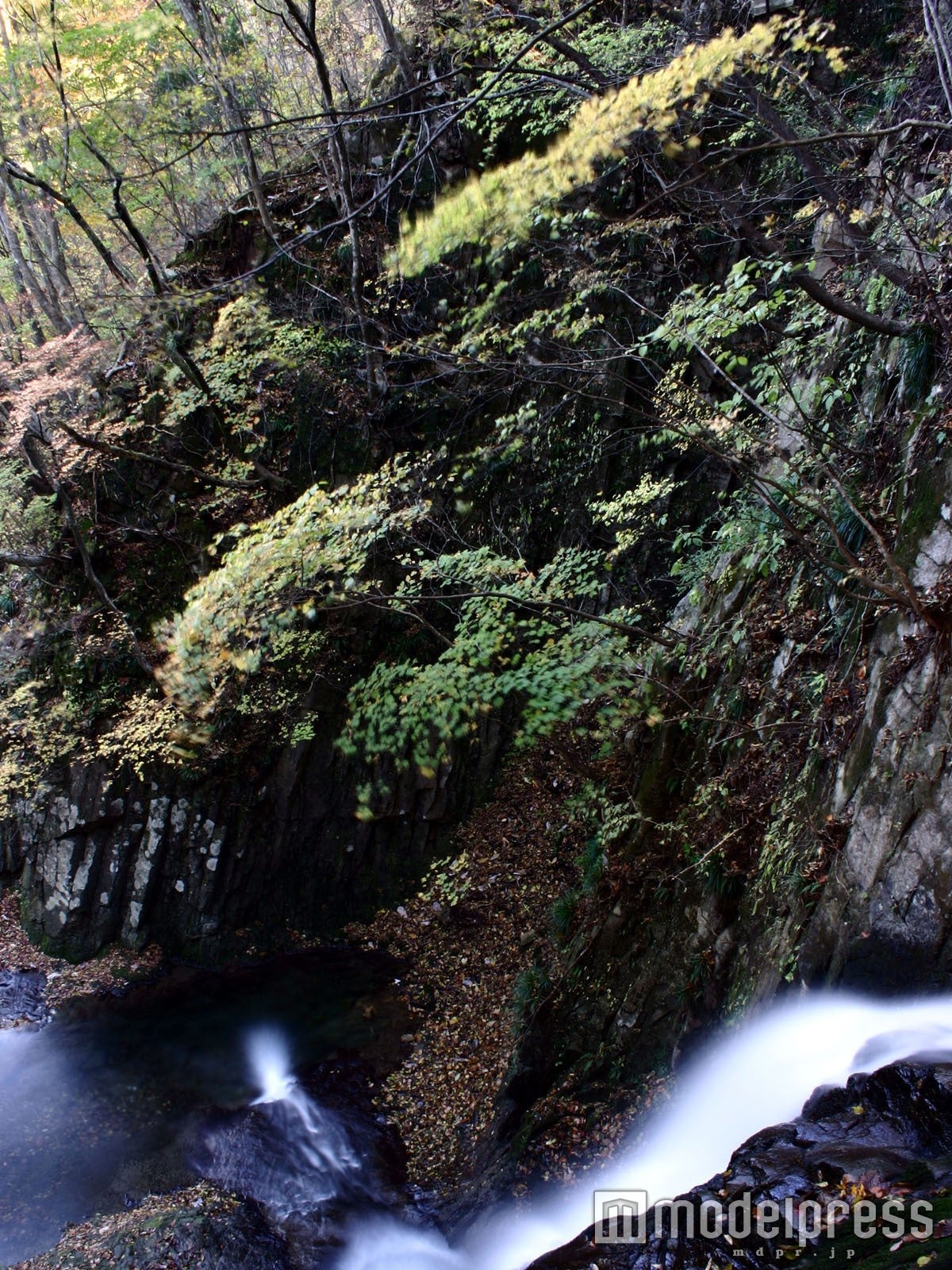 丁字ヶ滝／画像提供：日光市観光情報発信センター