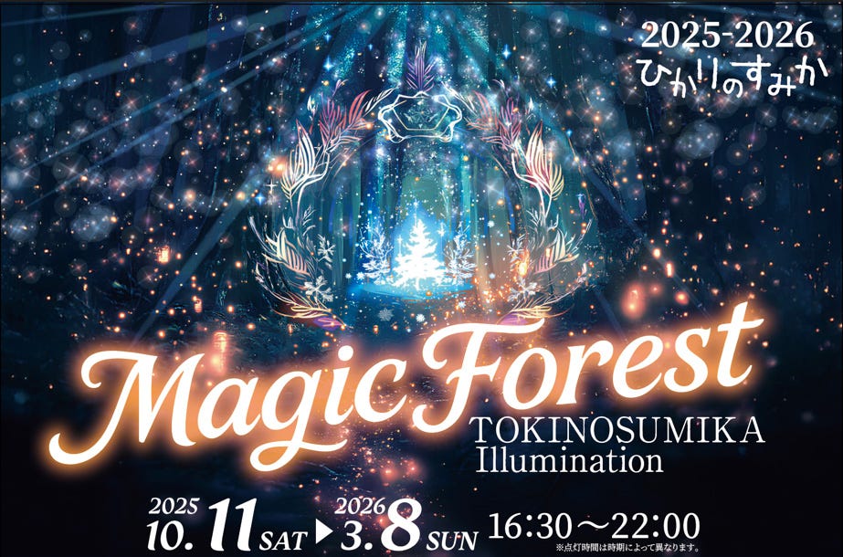 550万球の光が織りなす“魔法の森” 静岡・時之栖でイルミネーション「ひかりのすみか」