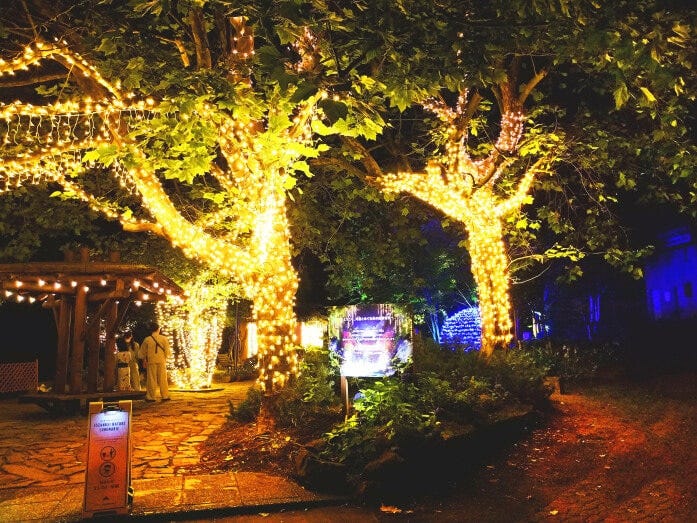 定山渓 を楽しみ尽くす 見ごたえたっぷり光のイベント ルミナリエ と温泉で過ごす札幌の休日 女子旅プレス 定山渓 を楽しみ尽くす 見ごたえたっぷり光のイベント ルミナリエ と温泉で過ごす札幌の休日 女子旅プレス