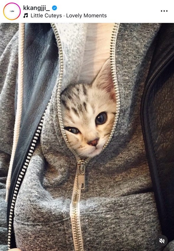 知英Instagramより