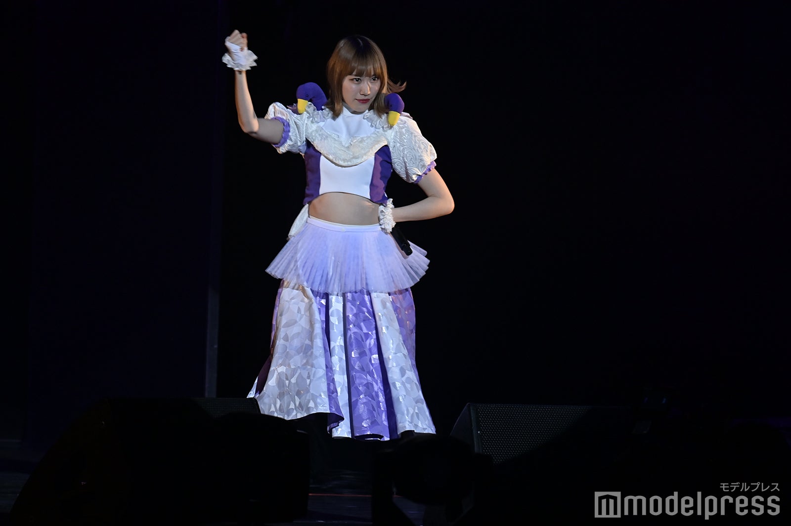 豆柴の大群（C）モデルプレス