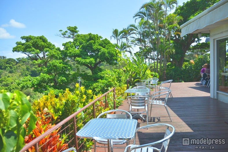 晴れた日はテラス席でのランチがおすすめ