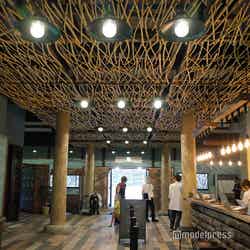 ミューの森(C)モデルプレス