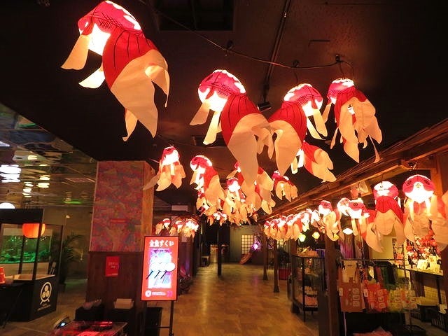 どこからみても綺麗！幻想的な癒しスポット「奈良金魚ミュージアム」【奈良県奈良市】