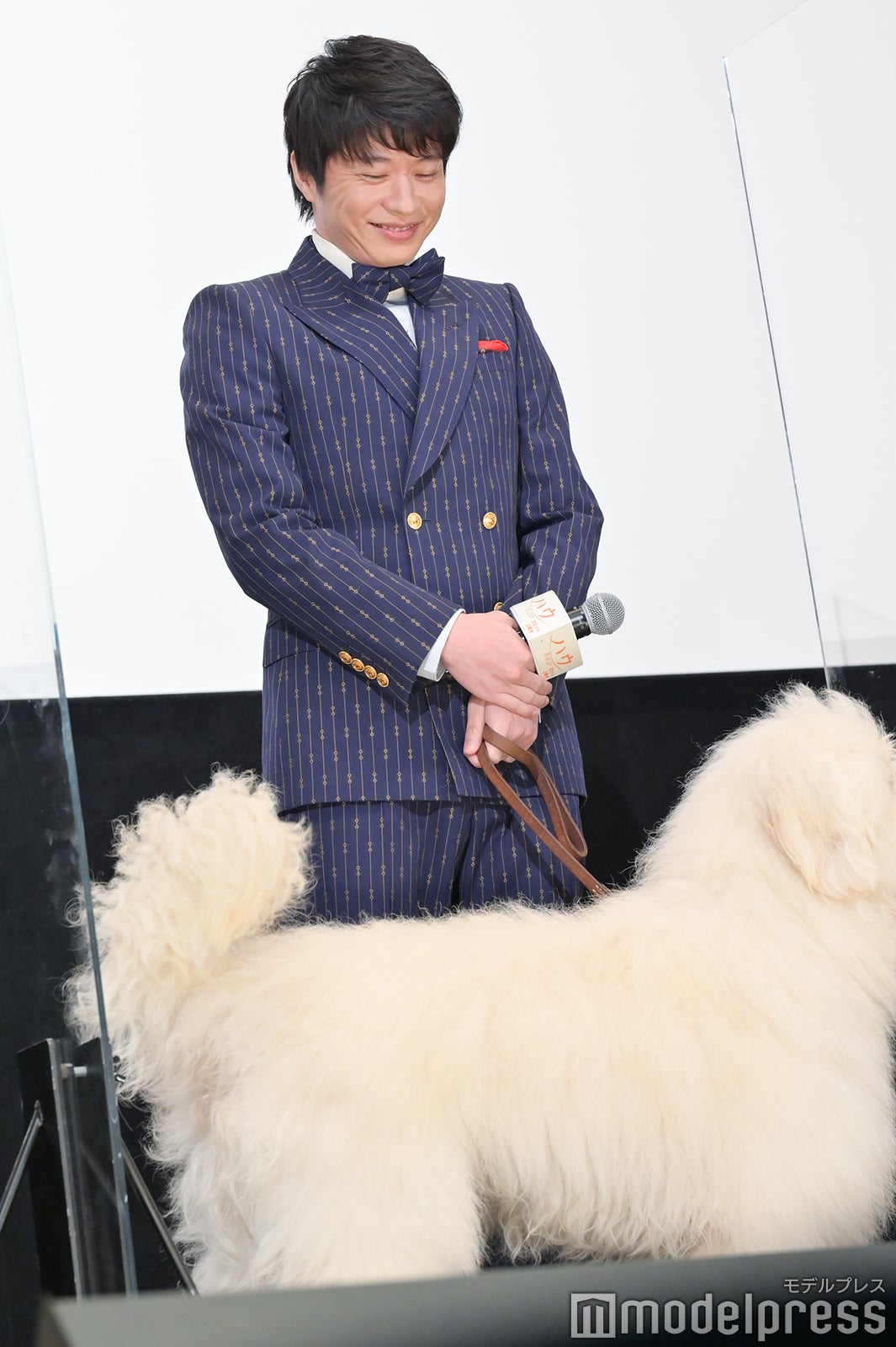 田中圭（C）モデルプレス